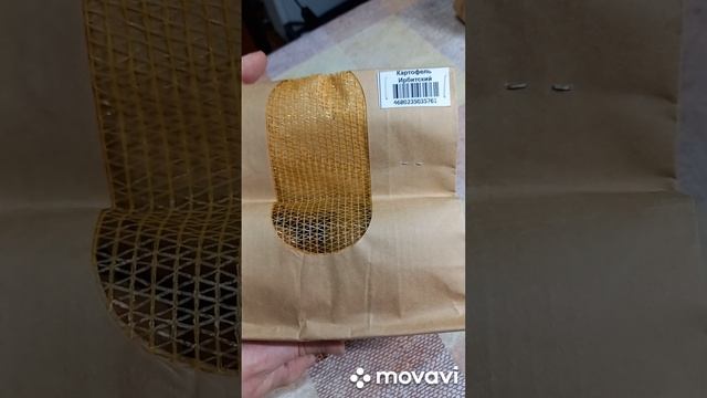 КАРТОФЕЛЬ ИРБИТСКИЙ ОТ САДОВ РОССИИ. ОГОРОД НА КУБАНИ. shorts# смотреть онлайн