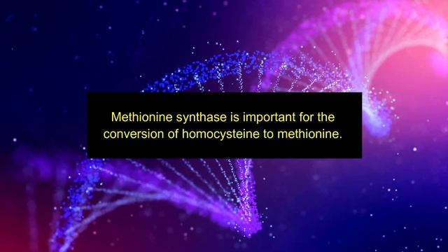 SNiP Educational Series: MTRR Gene смотреть онлайн