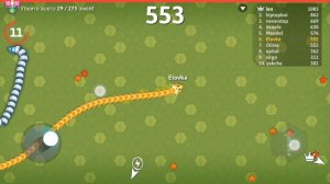 Играю в игру змейки