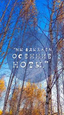 А что ты выбираешь вдохнуть? ("Мы вдыхаем осенние ноты.")#shorts