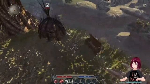 Прохождение divinity 2 developers cut. Прохождение divinity 2 developers cut