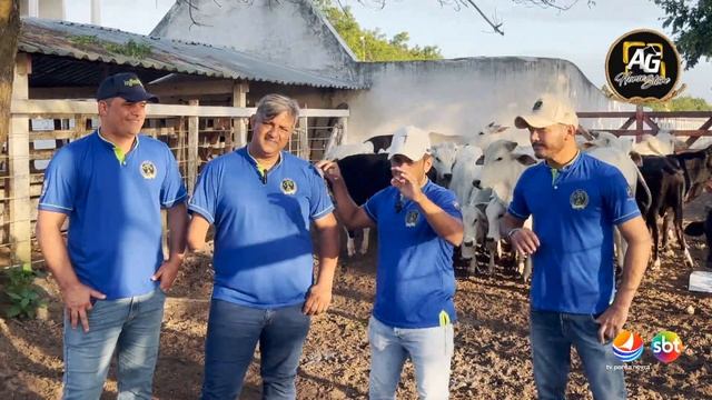 VAQUEJADA NA CIDADE 04/08/2024 - Matéria Especial sobre o CPV - Circuito Potiguar de Vaquejada смотреть онлайн
