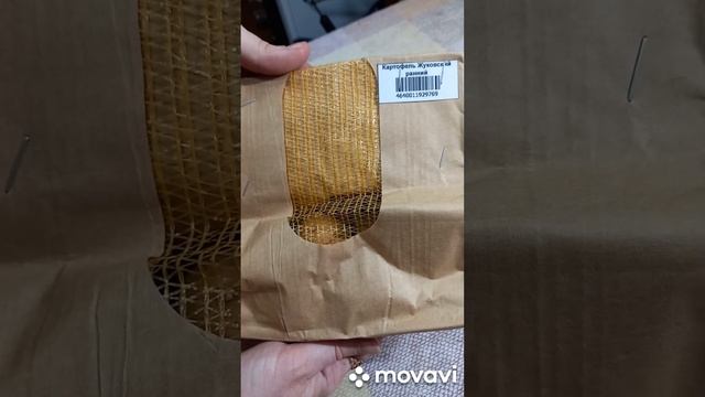 КАРТОФЕЛЬ ЖУКОВСКИЙ РАННИЙ ОТ САДОВ РОССИИ. ОГОРОД НА КУБАНИ. shorts# смотреть онлайн