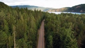 Earth cycle of life in nature 2021.  Земля круговорот жизни в природе 2021.