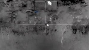 Pulsar Thermion XP 50 Sako S20 Hunter 308Win