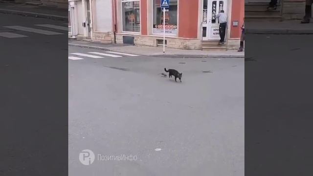 Охотник
