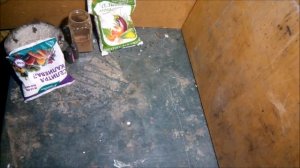 Что будет? Магний и разные окислители.