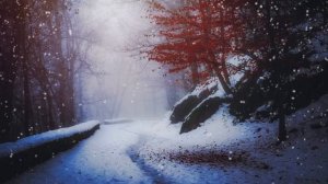 Интересные истории. Наглая свекровь. Рассказы. Удивительные истории.