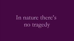 Crystal Castles - Kerosene lyrics