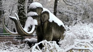 ❄️"БЕЛАЯ ВЬЮГА"❄️🌲🌲🌲Супер песня! /Юлия Альбах и Дмитрий Мазур/ "The Natural World" (Мир Природы)