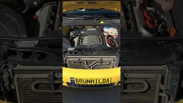 B6 Imola Yellow Audi S4 Avant Manual смотреть онлайн