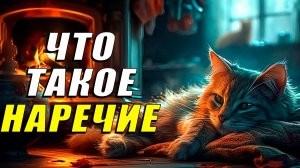 Что такое наречие