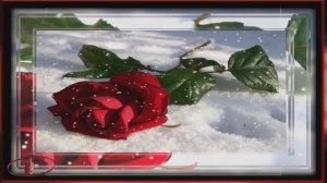 ❤️️🌹❤️️   РОЗА НА СНЕГУ ! КРАСИВАЯ ЗИМНЯЯ МЕЛОДИЯ