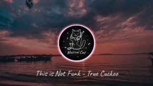 This is Not Funk - True Cuckoo | Electronic