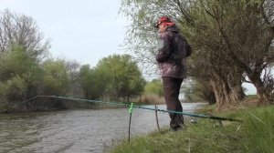 НЕРЕСТ САЗАНА Вобла на поплавок Рыбалка в Астрахани 2024