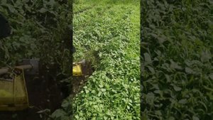 Купил на озоне насадку для бензокосы.
