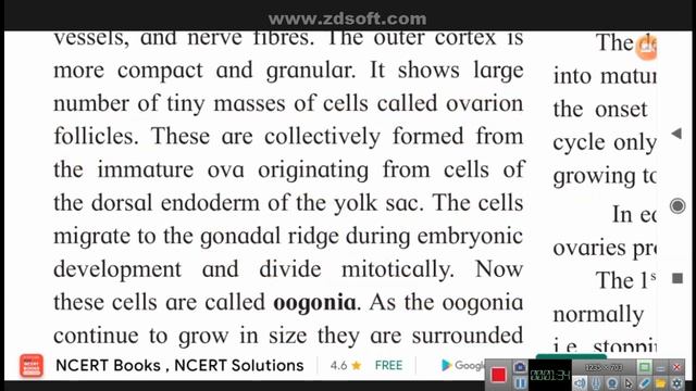 12 th biology reproduction in lower and higher animals part 25 смотреть онлайн