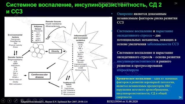 Дислипидемия и инсулинорезистентность как компоненты метаболического синдрома.