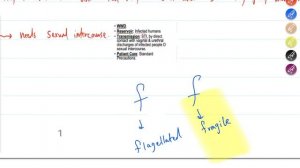 [Grace Team] UGS Microbiology - Lecture 3 || By: Omar Bani Meri