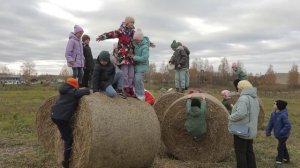 ФЕРМЕРЫ ИЗ ШУНГИ #костромская область