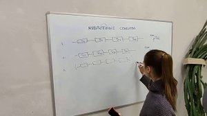 Мультигенные семейства 2