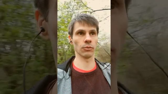 Птичий Лесной мини сатсанг. Фёдо пустотный ) Пустота Пустотная ) смотреть онлайн