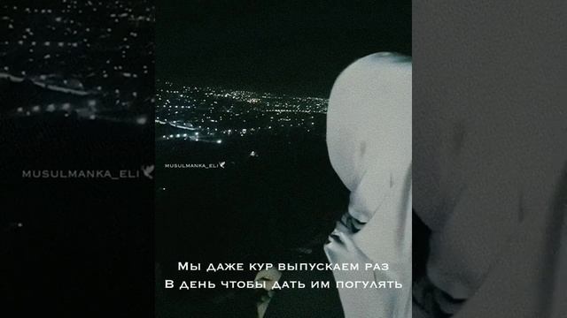 Напоминание братьям в отношении к женам. Про женщин смотреть онлайн