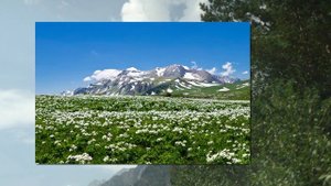 ГОРЫ КАВКАЗА-ЦЕЙСКОЕ УЩЕЛЬЕ