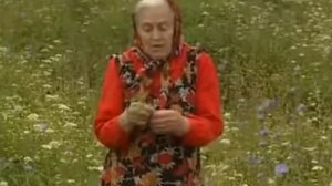 Лечение травами