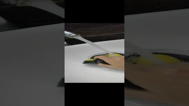 VID_20241116_212023.mp4