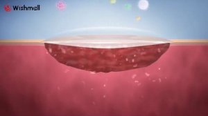 wishmall мужской гель