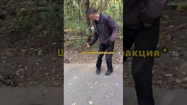 белочка пришла 😂.mp4