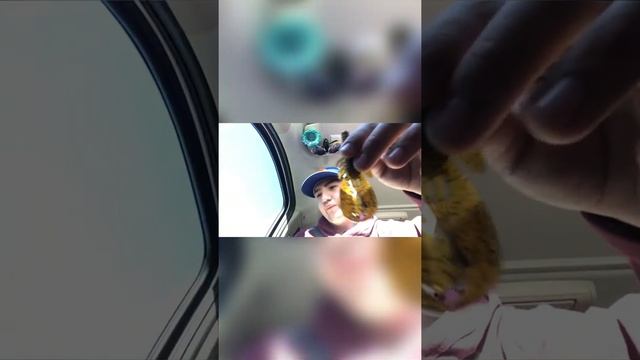 MTB review смотреть онлайн