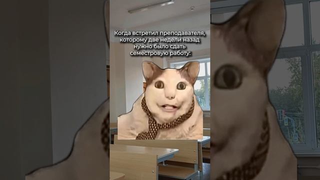 Жизненная ситуация?