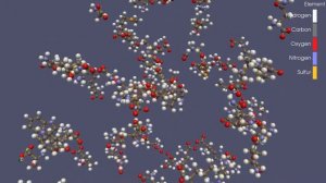 Amino Acid Animation