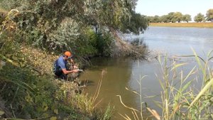 Что то происходит на каждом забросе Осенняя рыбалка в Астрахани Ловля судака щуки