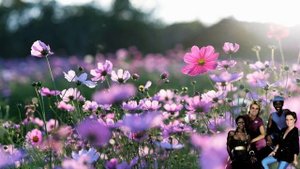 Chilly - Springtime
