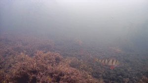 16.11.2024 г.-Иртяш-Открытие сезона!