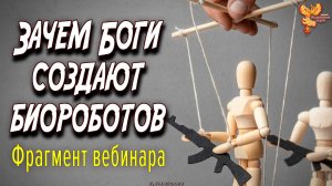 Зачем Боги создают биороботов_ ФРАГМЕНТ вебинара.