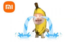 Banana Cat crying but famous phone alarms