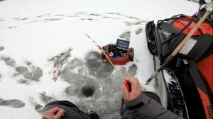 Зимняя рыбалка на Нижней Тунгуске. Туруханск.