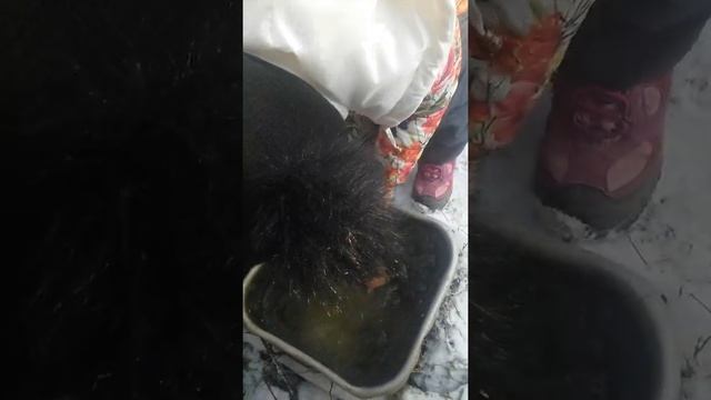 Красивый лёд в разрезе) смотреть онлайн