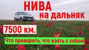 "Нива" на дальняк. 7500 км. Что проверить, что взять с собой в дорогу.
