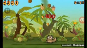 белка ест орехи