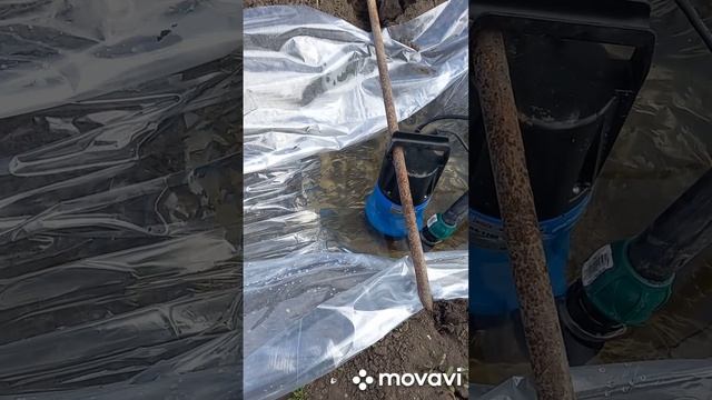 СКВАЖИНА И НОВЫЙ НОСОС. ОГОРОД НА КУБАНИ. shorts# смотреть онлайн