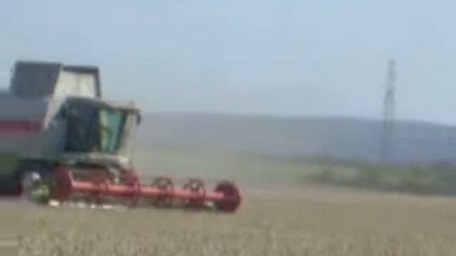 žně 2017 zd Mořina u vesnice Kuchař смотреть онлайн