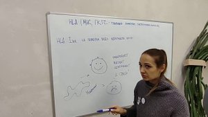 HLA система 1