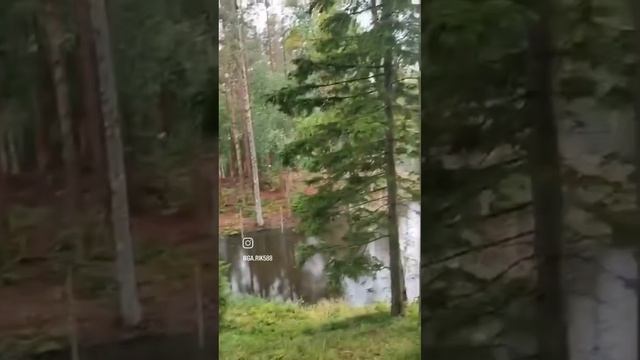 Карелия