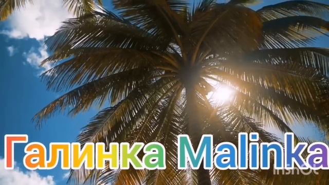 Ольга Уралочка live / Шок/ Кита выбросило на берег /Обзор Влогов /Уралочка и Сафар /