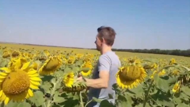 Счастье в том, что есть #счастье #чтоесть #бытие